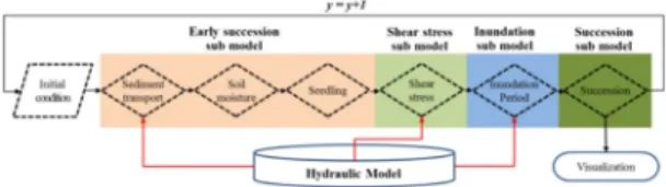 Fig. 5. Schematic flow diagram of the riparian vegetation  modeling (Adopted from Woo and Park’s Fig.1, 2016).