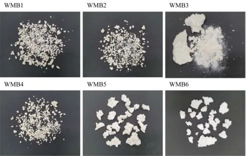 Figure  2.  Photos  of  recovered  WMB.