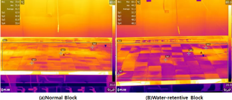 Fig. 9. Surface temperature of N.B and W.R.B with IR thermal image camera.