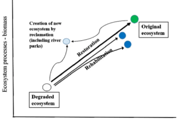 Fig. 3. Meanings of various types of river restoration (Woo  et al. 2017, Fig. 9.10). 표하며, ‘과정 (기능)’ 축은 생물량과 영양염류량을 대 표한다