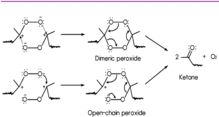 Figure 8. 2 nd  step : The formation of ketone from two adjacent zwitterions.