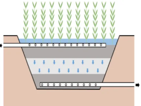 Fig. 1. Vertical Subsurface Flow Constructed Wetland. Fig. 2. Horizontal Subsurface Flow Constructed Wetland.