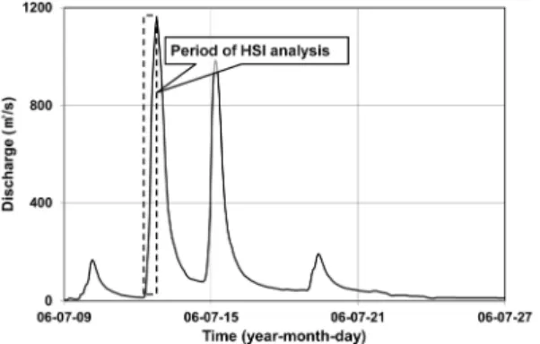 Fig. 6. Hourly hydrograph applied to spatial distribution of  water surface elevation and velocity