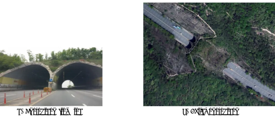 Fig. 1. Map showing the study area of the wildlife road- road-crossing structure at the Jingmaei-Pass, Incheon