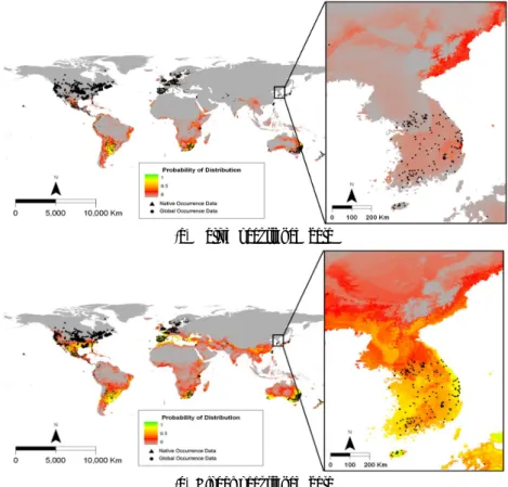 Fig. 3. Map showing the potential distribution of Ambrosia artemisiifolia predicted by the Maxent model using the data  set from native and global ranges