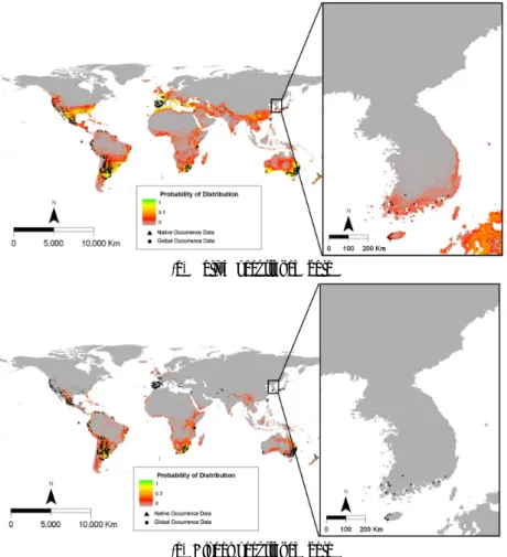 Fig. 6. Map showing the potential distribution of Paspalum distichum predicted by the Maxent model using the data  set from native and global ranges.