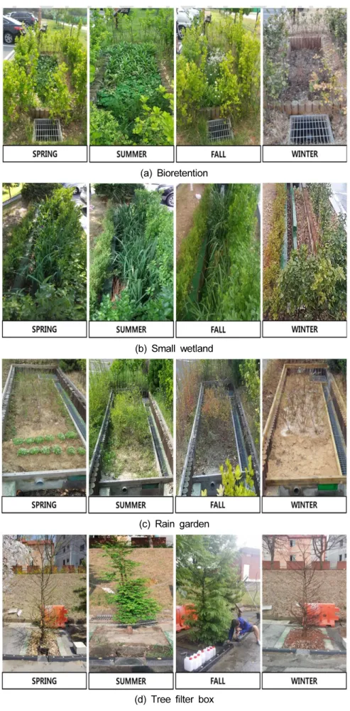 Fig. 2. Seasonal changes in landscape of the low impact development (LID) facility.