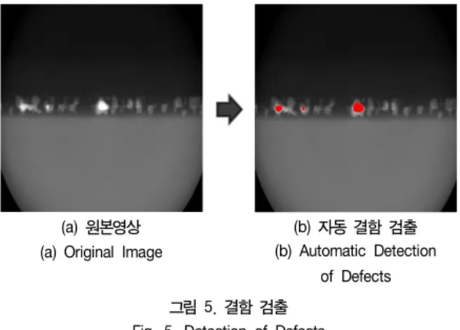 Fig.  5.  Detection  of  Defects