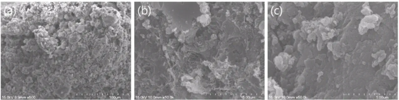 Fig. 2. Surface image of the red mud (RM) pellets using scanning electron microscopy apparatus (a, ×500; b, ×10,000; 