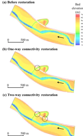 Fig. 1. Map showing study area in the Mangyeong River. 