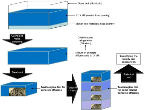 Fig. 2. Schematic drawing of preparations of test media for the toxicological experiment (MR, Marc's Modified Ringer’s  solution).