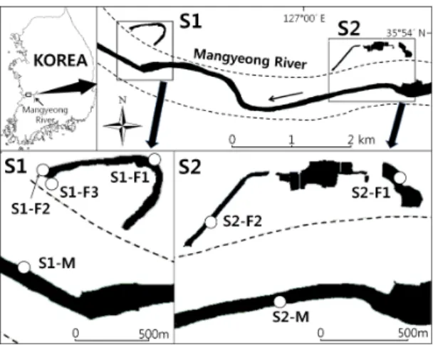 Fig. 1. Map showing the study area in the Mangyeong  River, Korea. The opened circles indicate study sites
