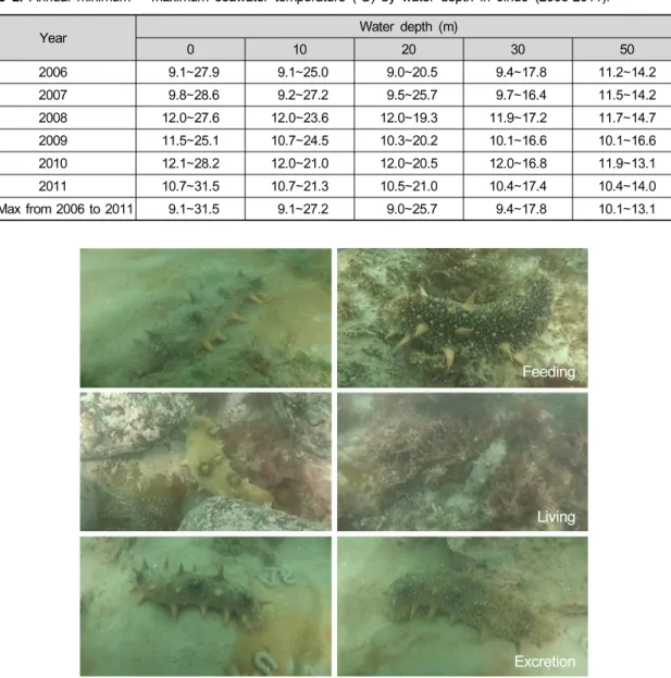 Table 2. Annual minimum ∼ maximum seawater temperature (℃) by water depth in Jindo (2006-2011)