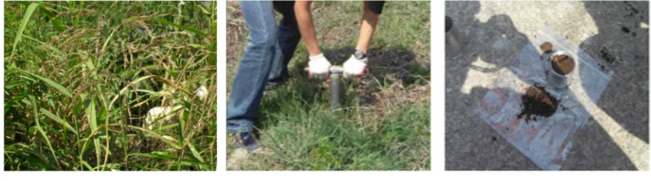 Fig. 1. Sampling for experiments