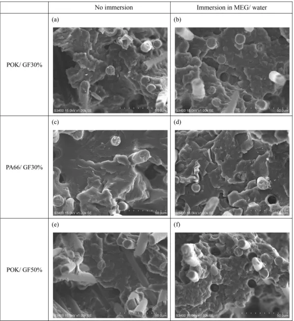 Figure 4.  SEM photographs of fracture surface of polyketone, polyamide66/GF composites: (a), (c), (e) no immersion/ (b), (d), (f) immersion in MEG/ water (×1,000).