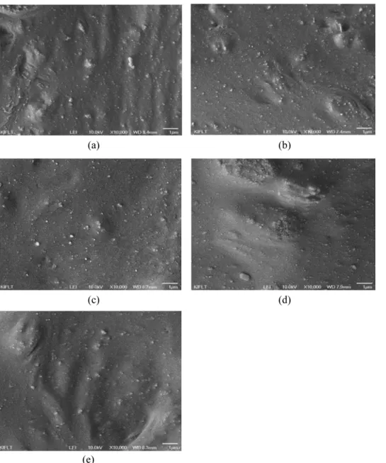 Figure 7. SEM images of silica filled composites with various contents of Si-69. (a) 0 phr, (b) 2 phr, (c) 4 phr, (d) 5 phr, and (e) 6 phr.