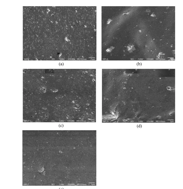 Figure 8. SEM images of silica filled composites with various contents of PEG. (a) 0 phr, (b) 1 phr, (c) 2 phr, (d) 3 phr, and (e) 4 phr.