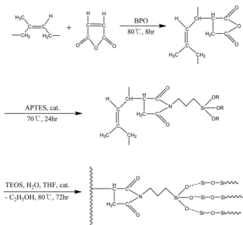 Figure 2. Schematic diagram of preparation procedure for NR/
