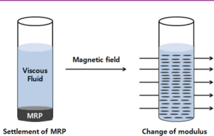 Figure 2. The mechanism of modulus change in MRE.