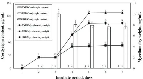 Fig. 2. The effects of various media on the maximal cell growth and cordycepin content by  P