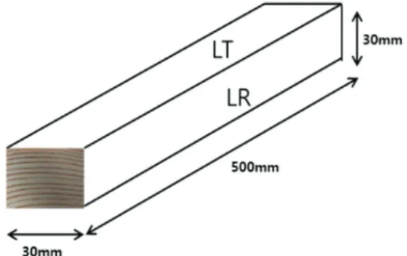 Fig. 1. Dimension and plane of test sample.