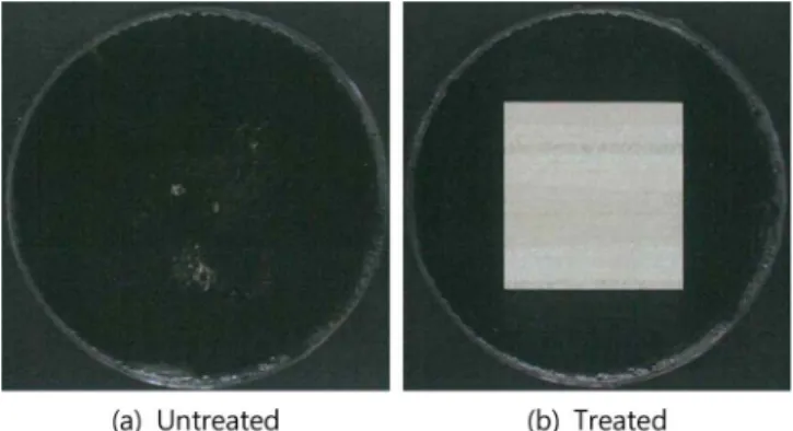 Figure 7. Antifungal image of polyester fabrics treated with visible-light responsive photocatalyst; (a) untreated, (b) treated.