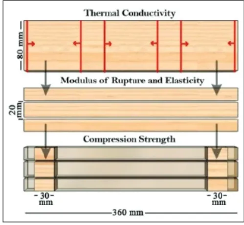 Fig. 1. Preparation of samples.