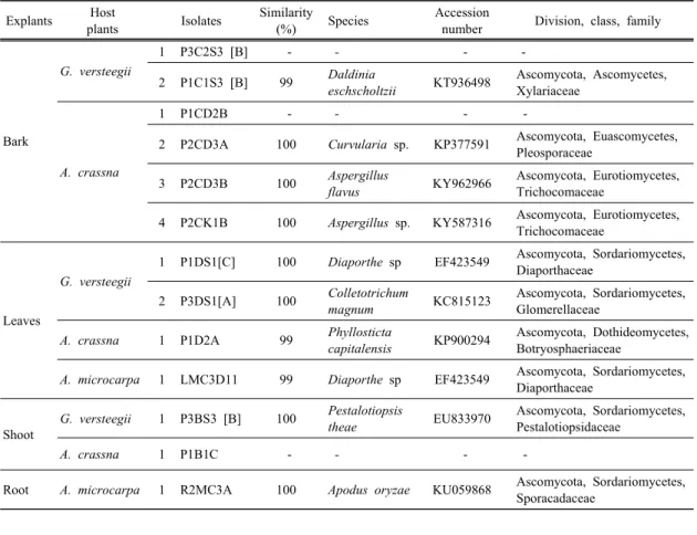 Table 3. Identification of 13 potential endophytic fungi based on internal transcribed spacer (ITS) using BLAST analysis