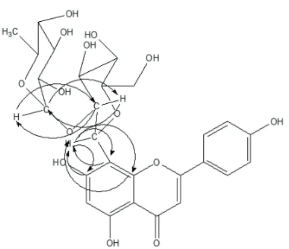 Fig. 2. Selected HMBC correlations observed in  compound  4.