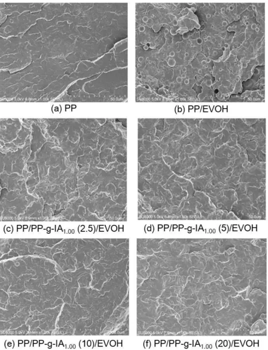 Figure  4.  SEM  images  of  PP  homopolymer,  PP/EVOH  blend,  and  PP/PP-g-IA/EVOH  blends  with  various  compatibilizer  content