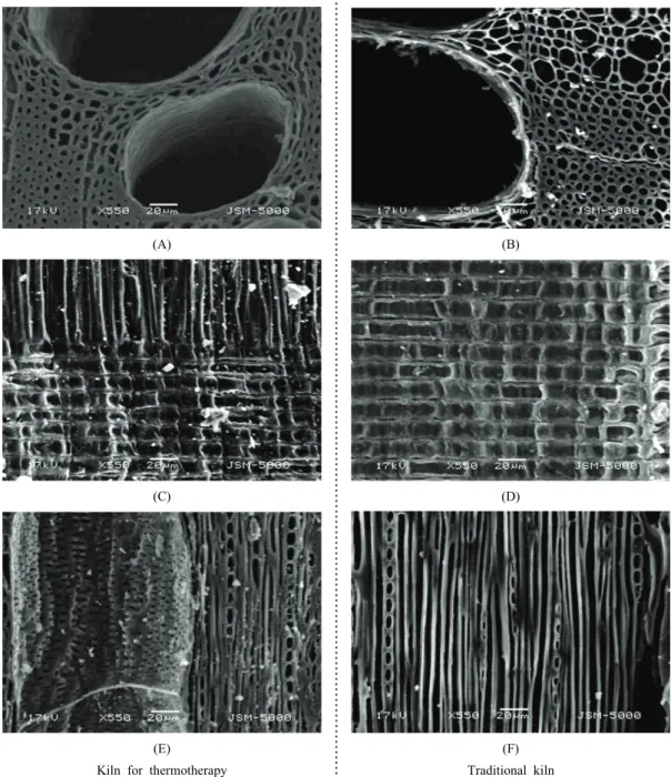 Fig. 2. SEM images on cross sections(A,B), radial sections(C,D), and tangential sections(E,F) of white  charcoal from the thermotherapy and traditional kilns.