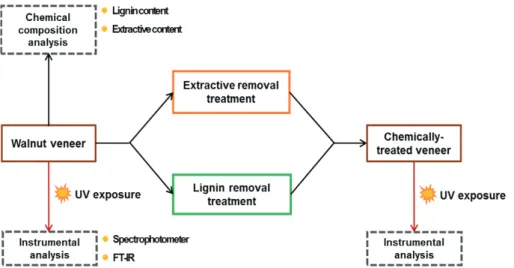 Fig. 1. Schematic diagram of overall experimentation in this study.