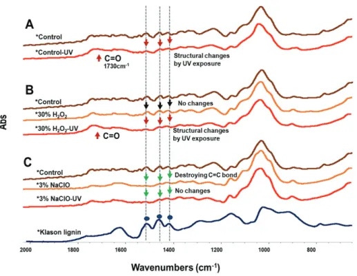 Fig. 4. Structural changes of walnut veneers treated by hydrogen peroxide and sodium  hypochlorite solutions after UV exposure test.