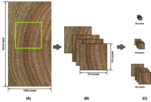 Table 1. A number of images (512 × 512 pixels) for training and testing purpose for each species