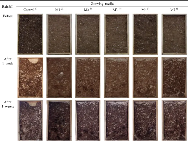 Fig. 1. Characteristic of soil surface layer after rainfall simulation ( 1) peat, perlite and wood meal (3 : 1 : 6,  w/w/w);  2) peat, perlite, wood meal and CMC (3: 1: 4: 2, w/w/w/w);  3) Peat, perlite, wood meal and glucomannan  (3 : 1: 4 : 2,  w/w/w/w);