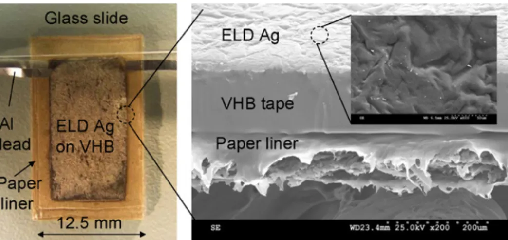 Figure 1. Flexible/stretchable electrodes based on electroless deposition (ELD). 11때문에 공정비가 비싸다는 단점이 있다.11,12  또 다른 방법으로 전기  전도성이  높은  금속이나  카본블랙, CNT, 그라파이트(graphite)  등을 연질 재료들과 혼합하여 전도성 복합체를 이용하면  금속  층과  유연기질  사이의  박리문제를  해결할  수  있다.13-18  이러한 유연전극은 10