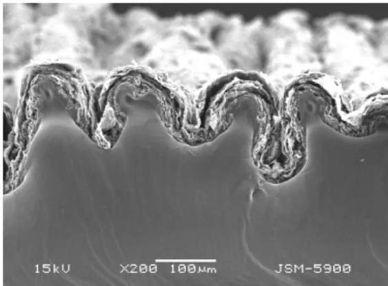 Figure 11. Wrinkle electrode based on IPN network of acryl- acryl-ate(host) and silicone rubber(guest) filled with SWNT.