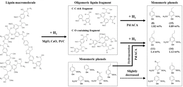 Fig. 8. A plausible lignin degradation pathway during two-step catalytic cracking process.