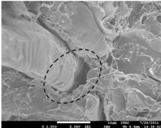 Figure 11. FE-SEM micrographs of tensile fractured surface of PLA/kenaf (70:30), PLA/kenaf/MAPLA (70:30:2phr), and PLA/acety- PLA/acety-lated kenaf (70:30)
