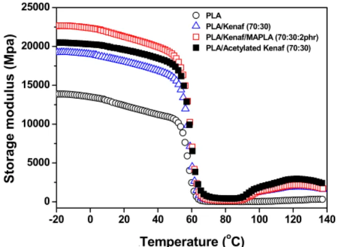 Figure 12. Storage modulus (E’) of kenaf, kenaf/MAPLA or ace- ace-tylated kenaf filled PLA bio-composites.