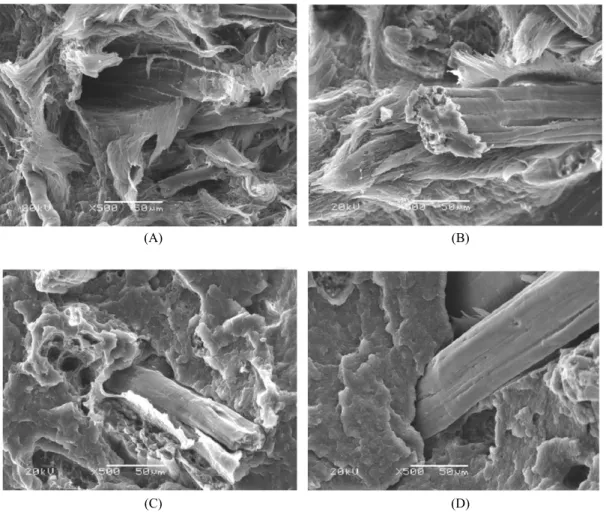 Figure 6. SEM micrographs of fractured surface (A) 0% MAPP, (B) 1% MAPP, (C) 2% MAPP, and (B) 3% MAPP of  JFRP composites.