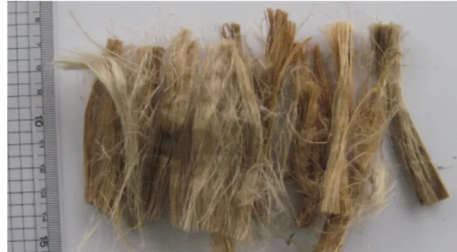 Figure 1. Photograph of chopped natural kenaf used in this  study.