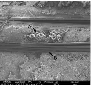 Fig. 3. The internal structure of fiberglass reinforced  wood-based composite.