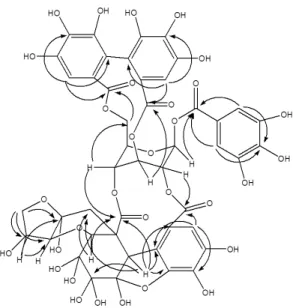 Fig. 2. Selected HMBC correlations observed be- be-tween heteroatoms of the compound.
