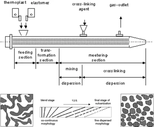 Figure 16. Scheme of extruder profile for dynamic vulcanization and morphology development of dynamic vulcanizates during  the crosslinking