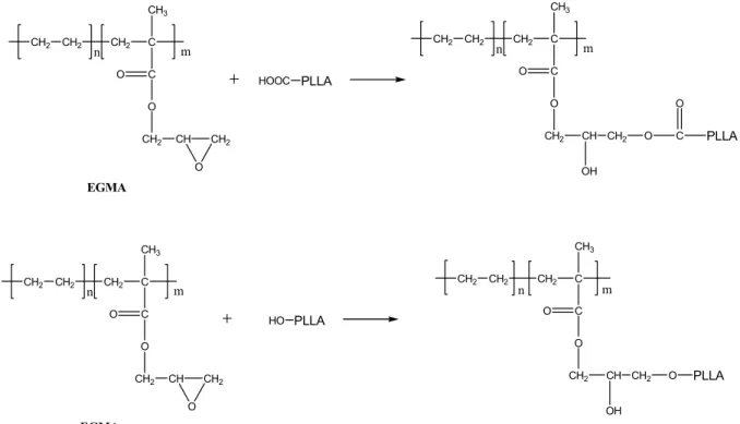 Figure 1. Reaction of epoxy group of EGMA with PLLA.