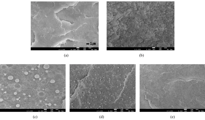 Figure 6. SEM image of PLLA/EGMA blends(X5000). (a)100/0 (b)75/25 (c)50/50 (d)25/75 (e)0/100의미하기 때문에 tan