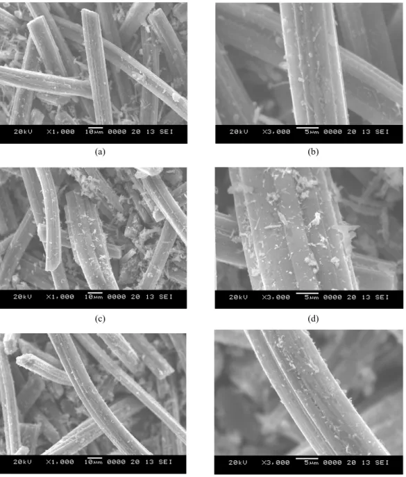 Figure 1. SEM images of ACF/TiO 2  and Fe-ACF/TiO 2  composites: F 1 AT: (a)×1000, (b)×3000; F 2 AT: (c)×1000, (d)×3000  and F 3 AT: (e) ×1000, (f)×3000.