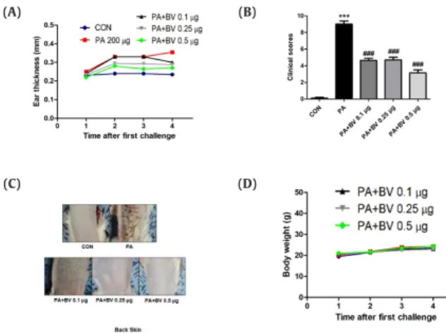 Fig. 1. Differences in ear thickness, clinical score, dorsal area of the skin, and body  weight after treatment of HR-1 mice with PA and BV