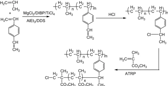 Figure 6. Schematic representation for the preparation of polypropylene macroinitiator by using pendant vinylbenzene groups  and subsequent ATRP process to produce graft copolymers